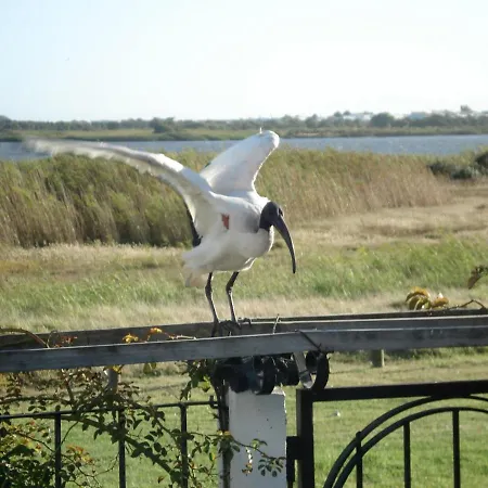 The Speckled Egg, 4 Promenade Rd, Lakeside, Cidade Do Cabo Exterior foto